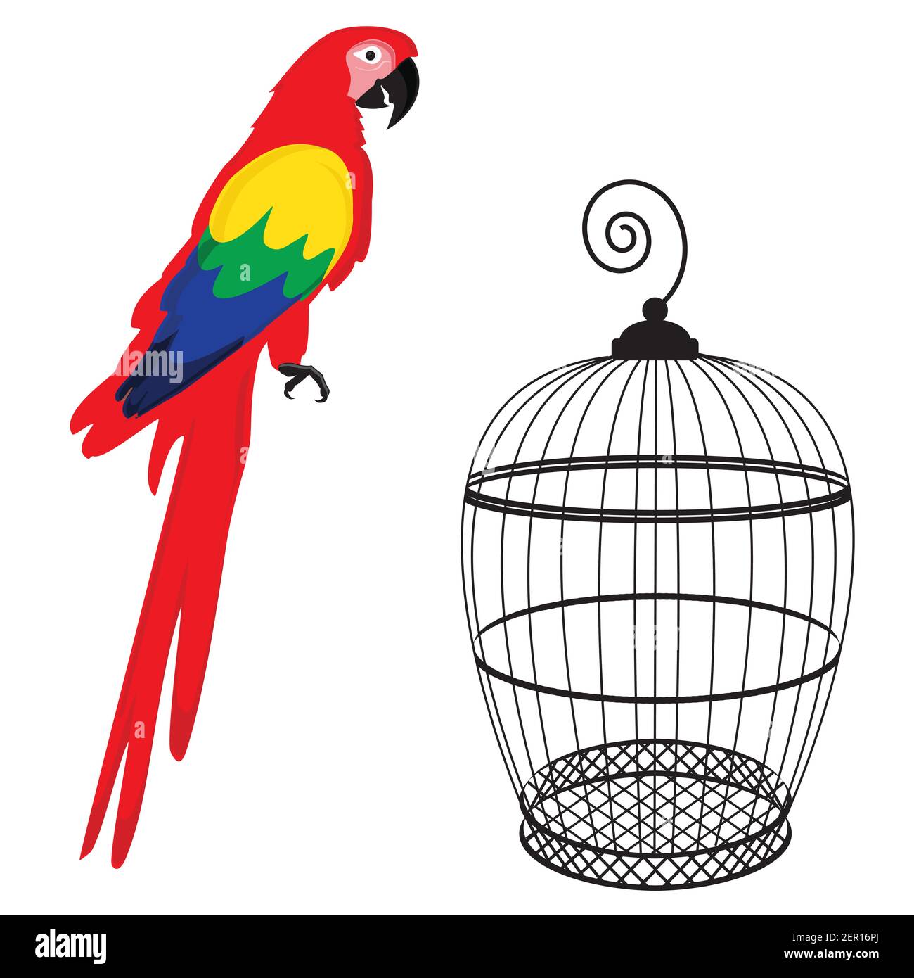 Vector Illustration Colorful Macaw Parrot And Birdcage Beautiful Macaw