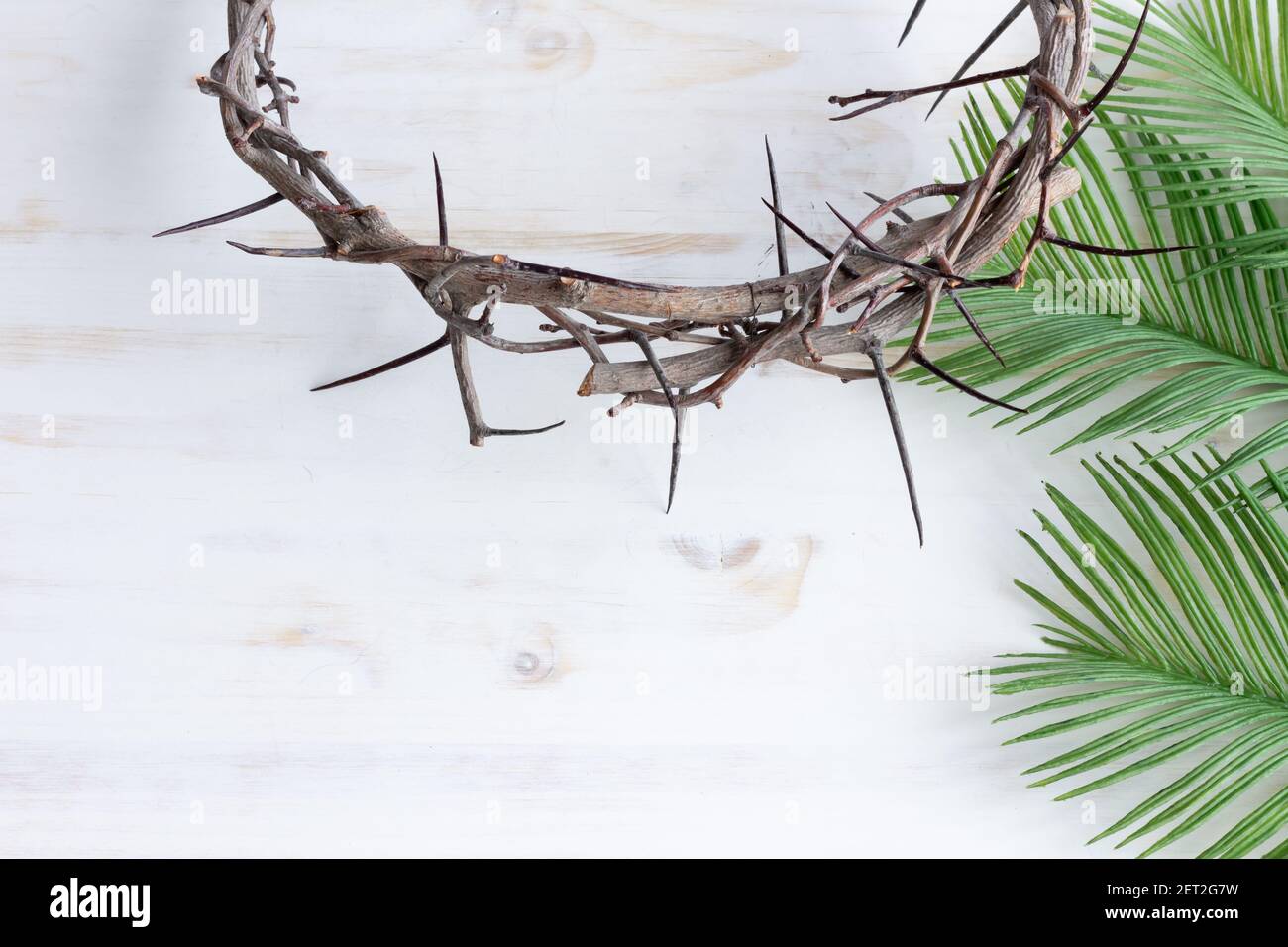 Crown Of Thorns On White Wood Background With Palm Fronds And Copy