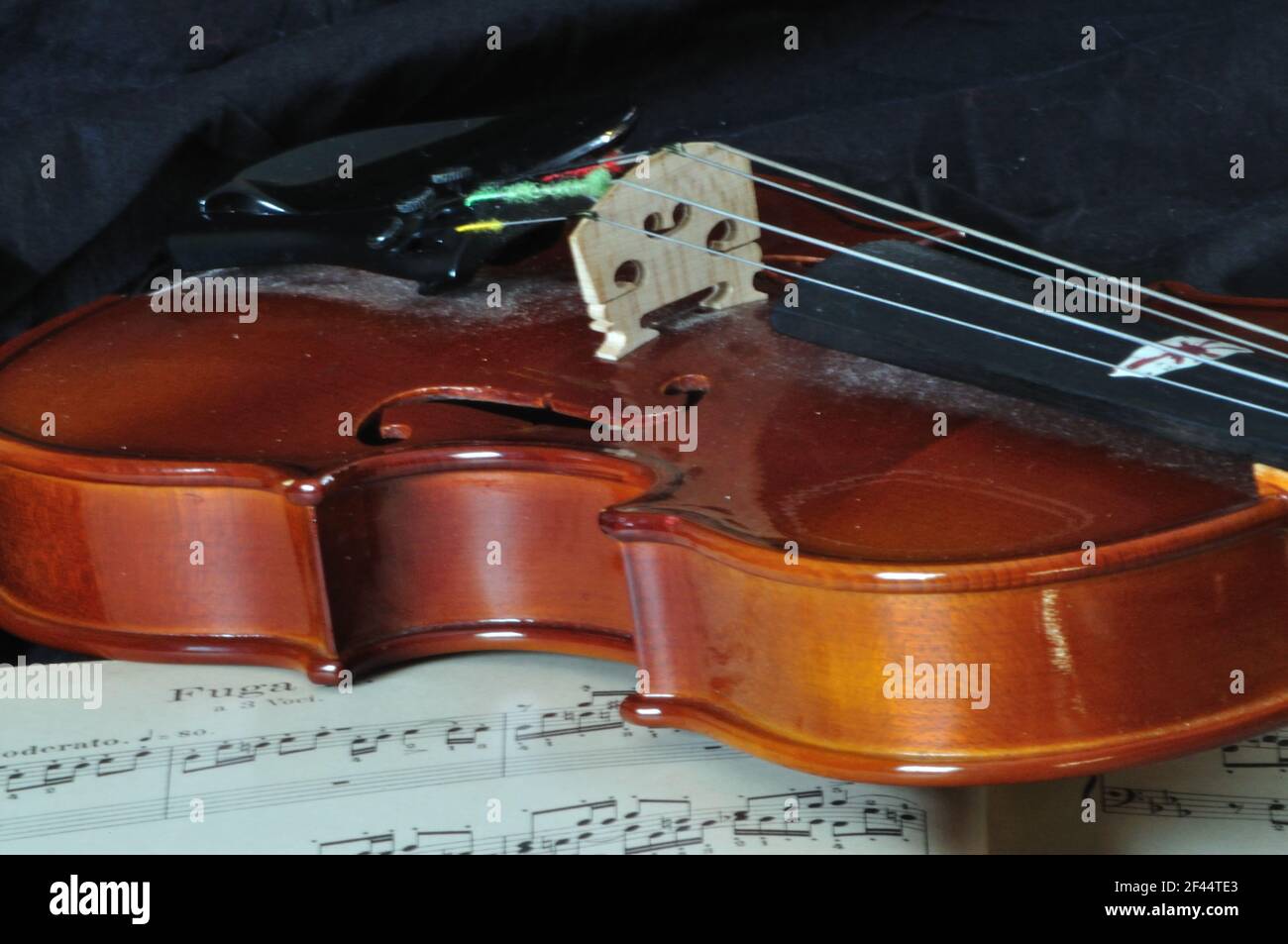 Violine Geige Hi Res Stock Photography And Images Alamy