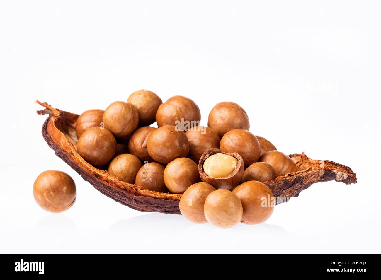 Organic Macadamia Nuts Macadamia Integrifolia Stock Photo Alamy