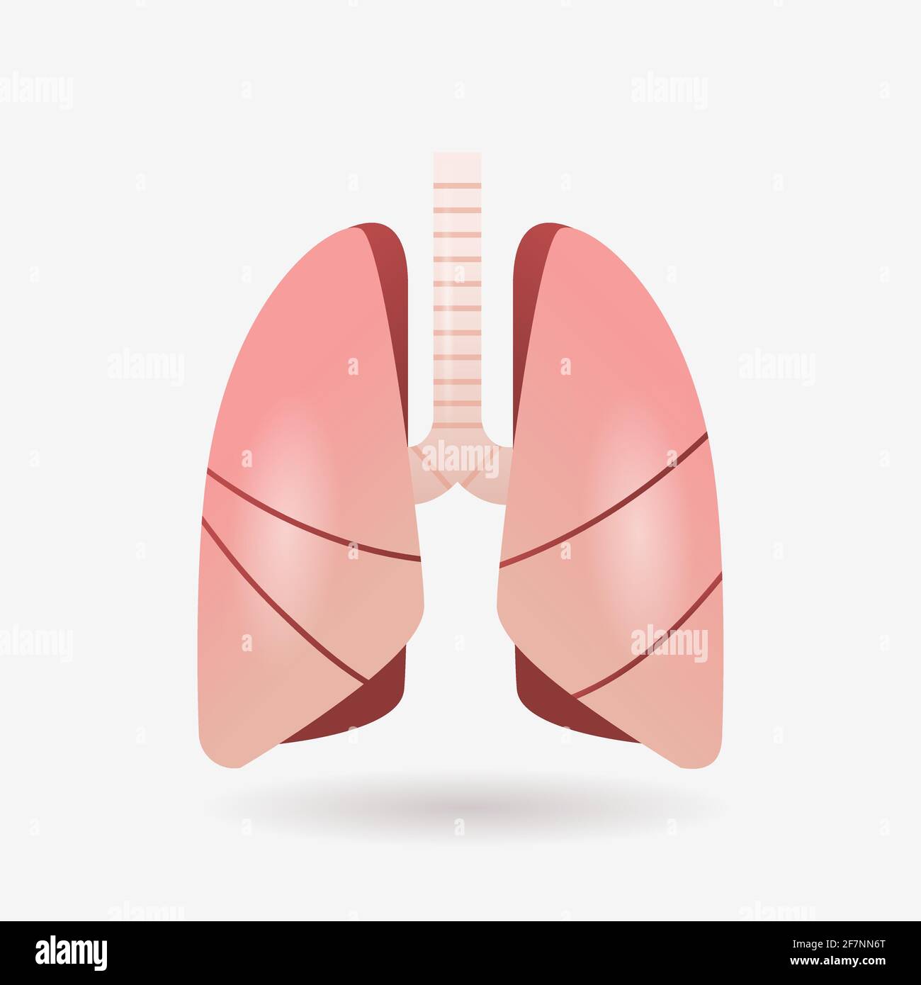 Lungs Icon Human Internal Organ Anatomy Biology Healthcare Medical