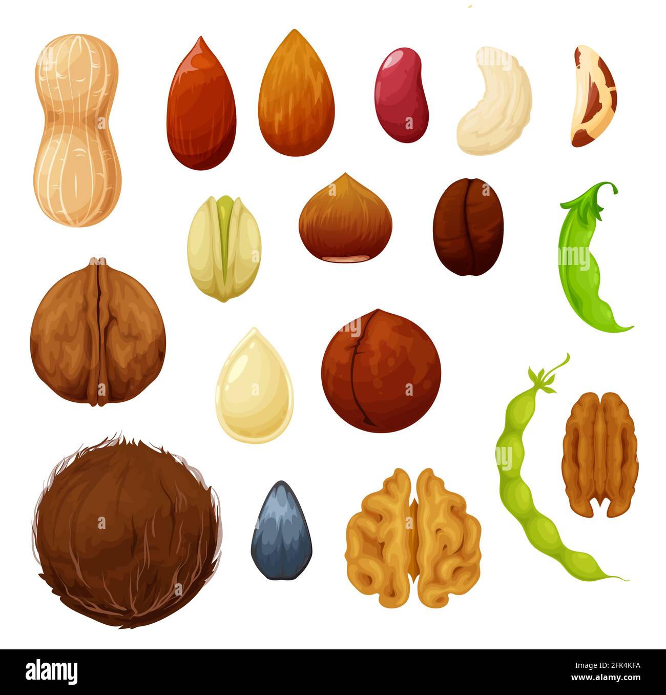 Nuts And Beans Natural Food Seeds Vector Icons Of Cashew And Almond