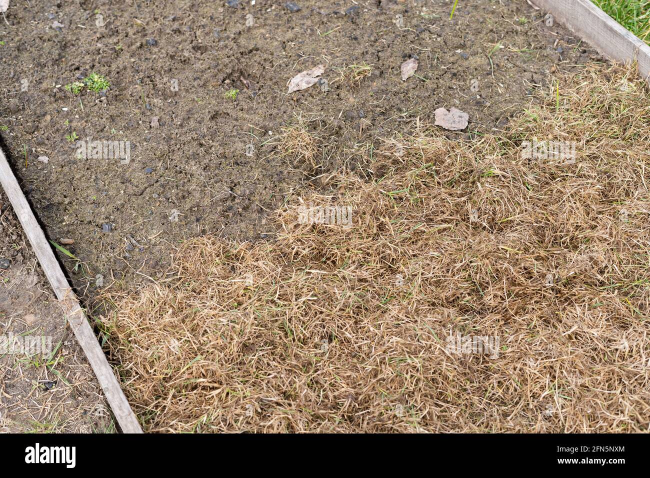 A Bed Before And After Mulch Coverage Reuse Of Dry Grass In