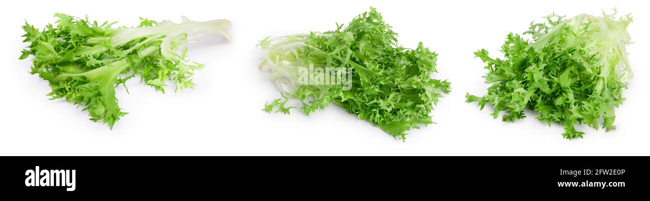 Fresh Green Leaves Of Endive Frisee Chicory Salad Isolated On White