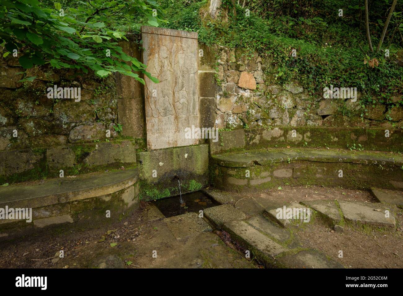 The Oreneta Fountain Swallow In Viladrau In Summer In The Montseny