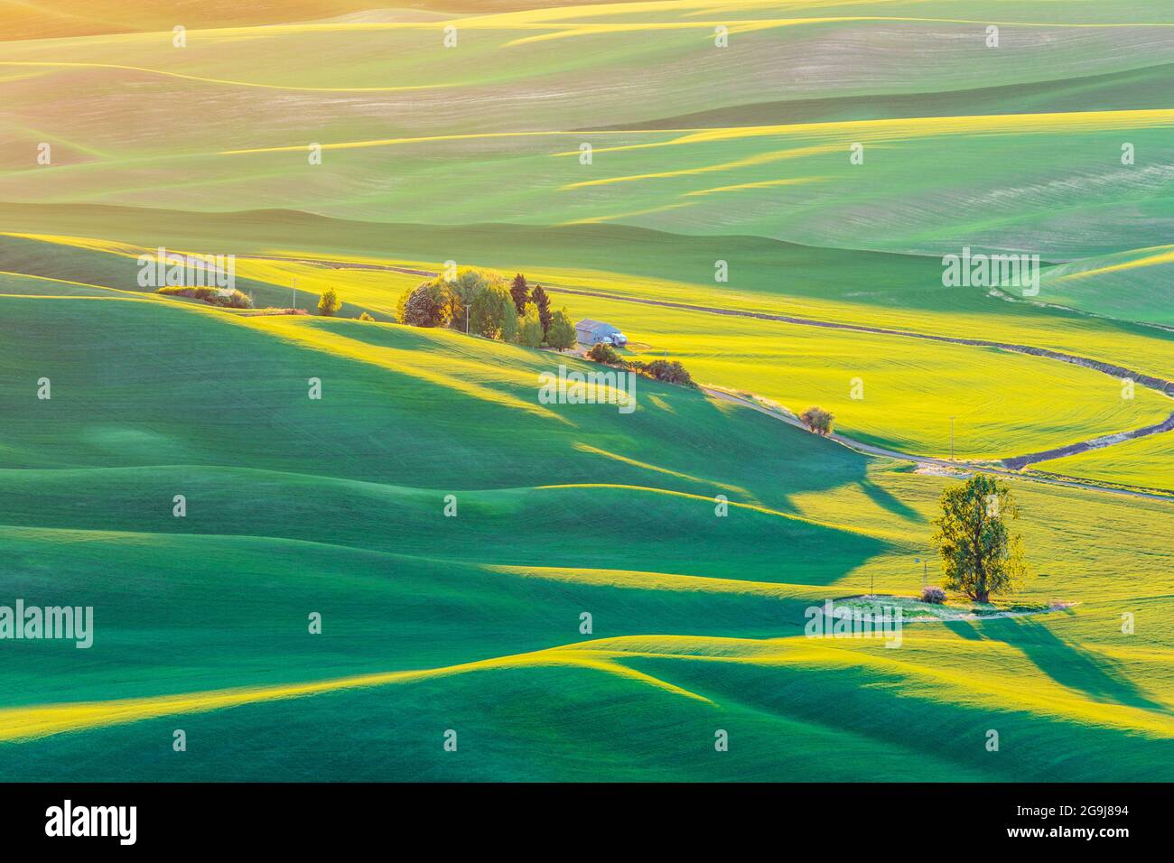 Steptoe Butte State Park Washington Usa May Sunset View Of