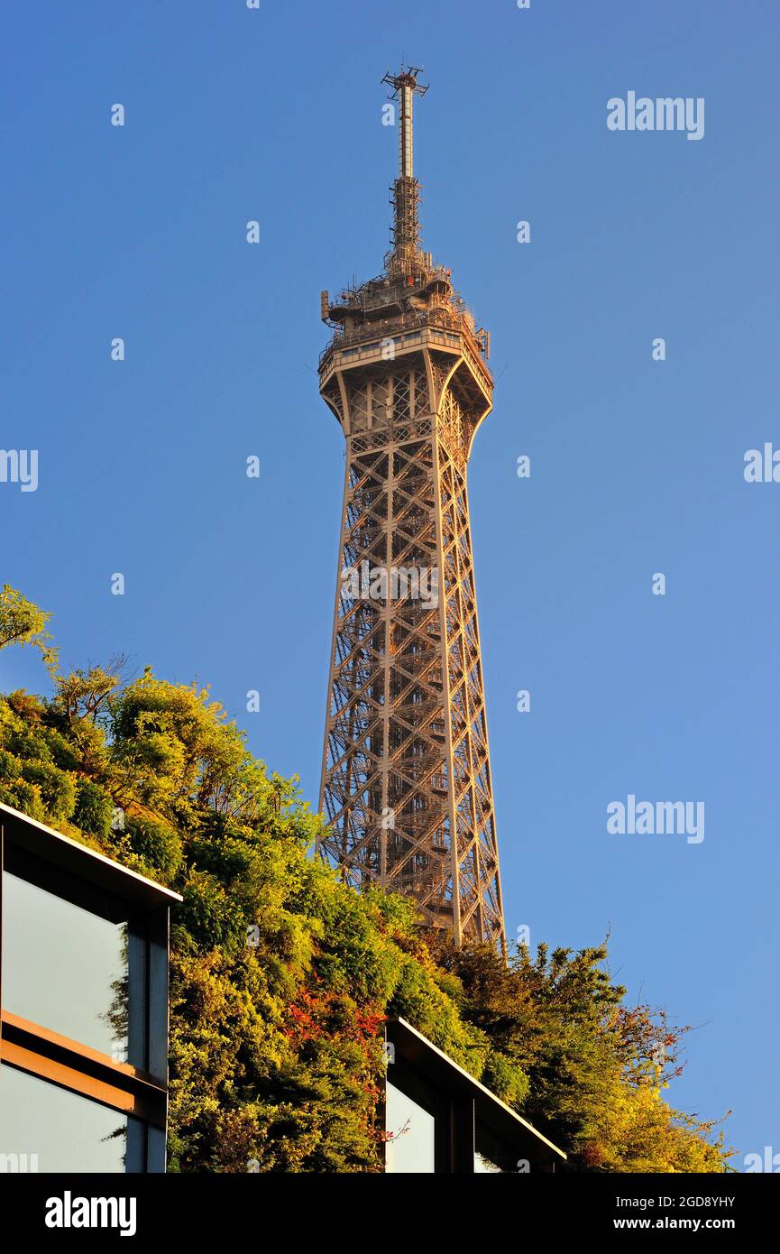 FRANCE PARIS 75 7TH ARRONDISSEMENT MUSEUM OF QUAI BRANLY AND TOUR