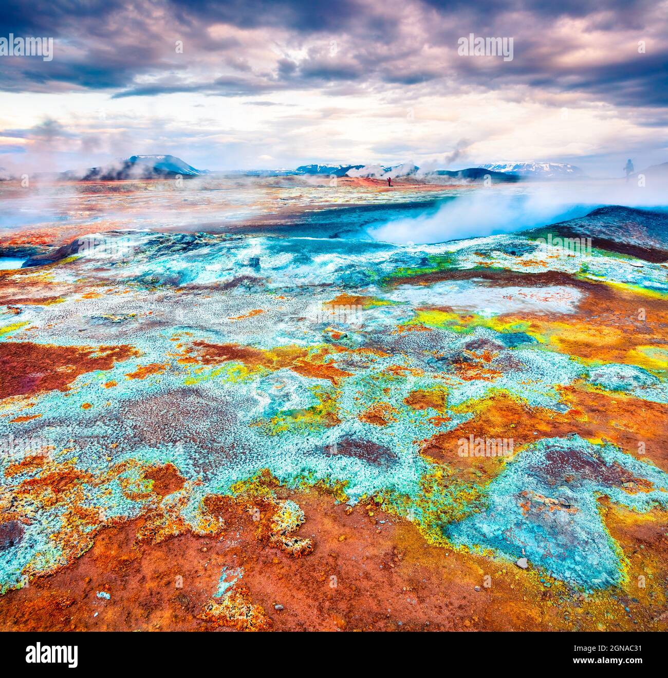 Steaming Fumaroles In Geothermal Valley Hverarond Exotic Summer