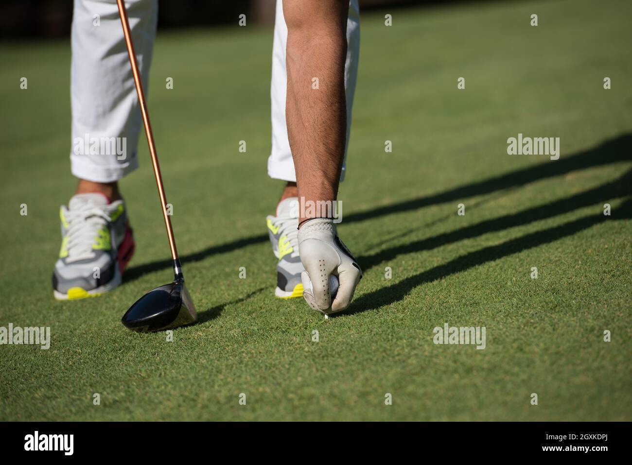 Golf Player Placing Ball On Tee Beautiful Sunrise On Golf Course