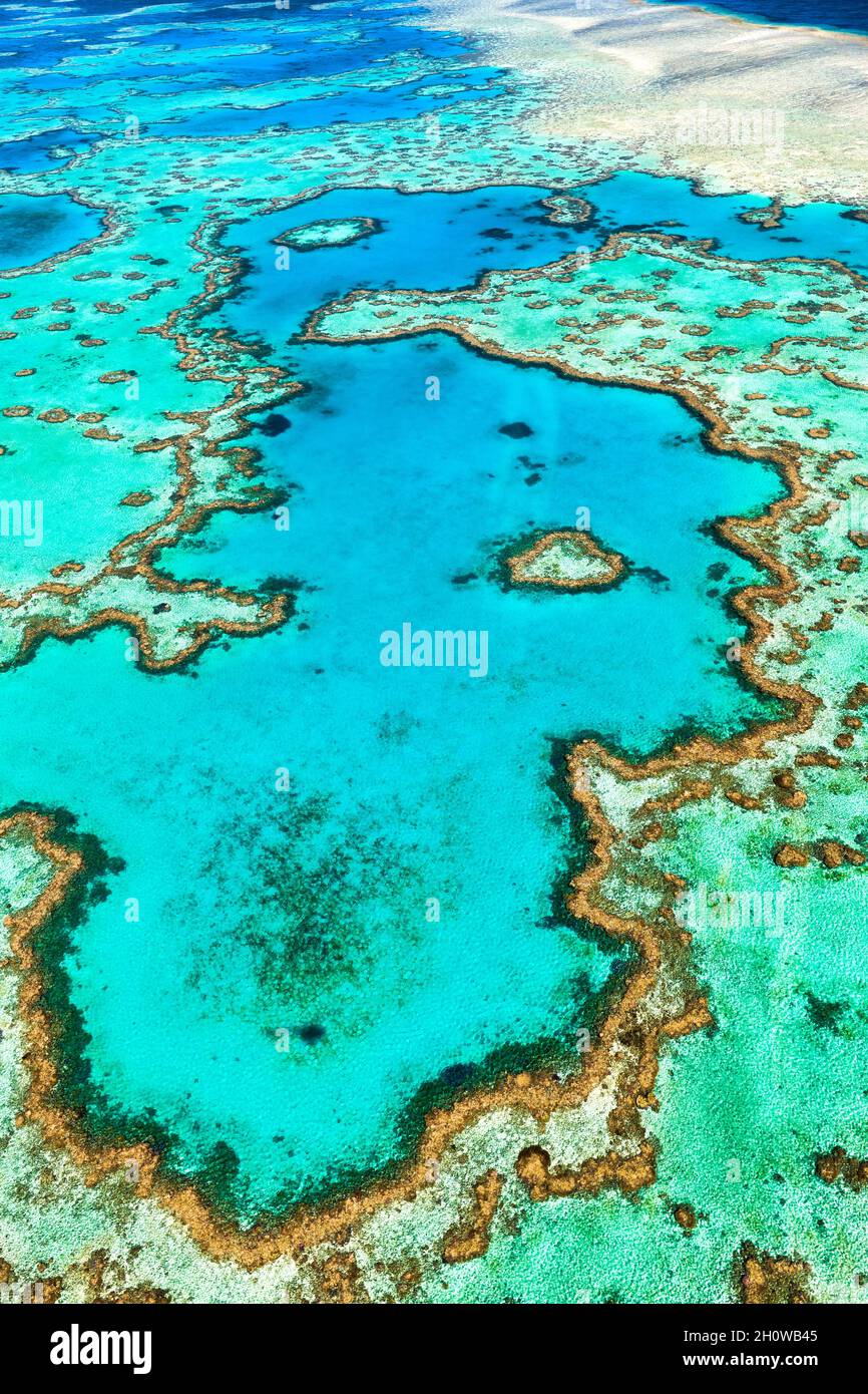 Great Barrier Reef Heart Reef Whitsundays Queensland Australia