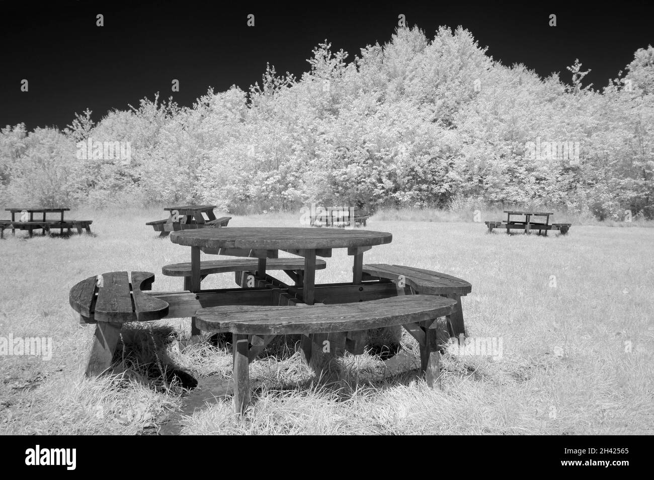 July Empty Wooden Picnic Tables Stock Photo Alamy