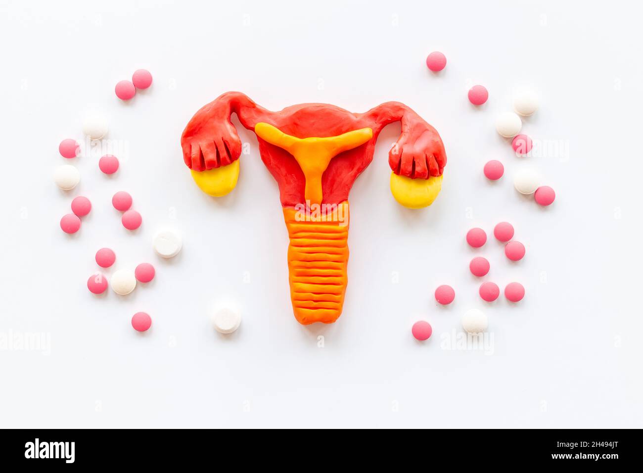 Female Reproductive System Model Hi Res Stock Photography And Images