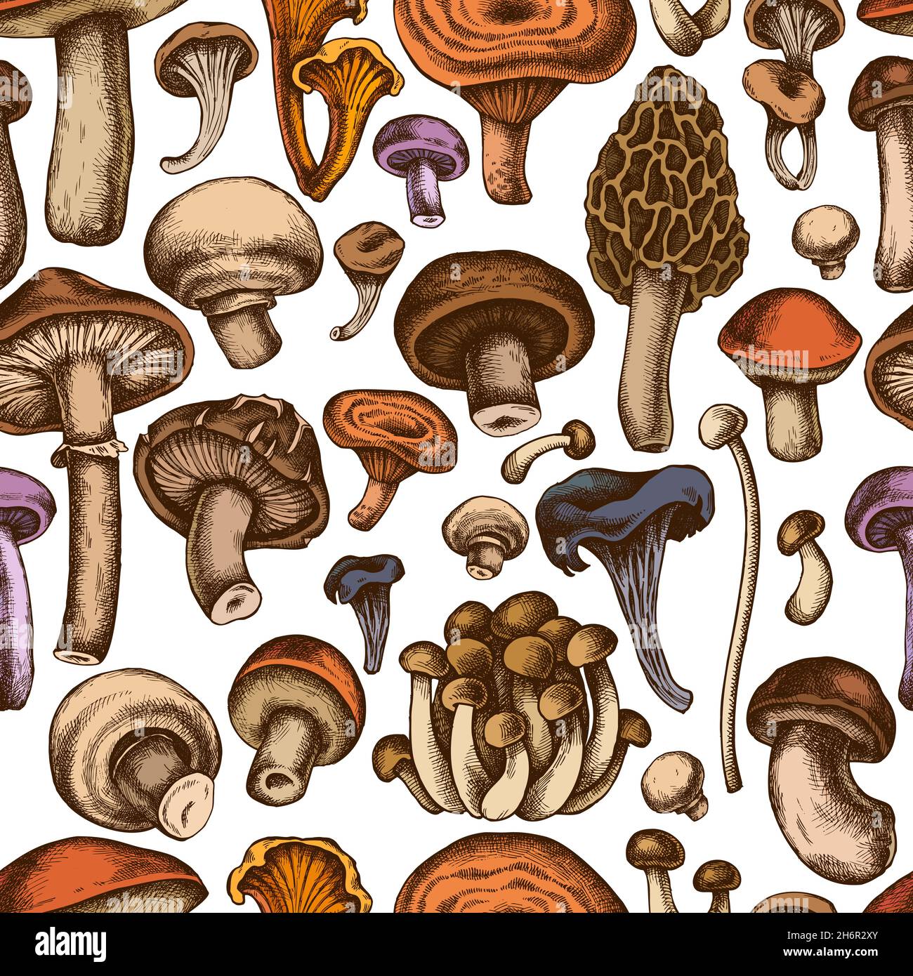 Seamless Pattern With Hand Drawn Colored Oyster Mushroom Champignon