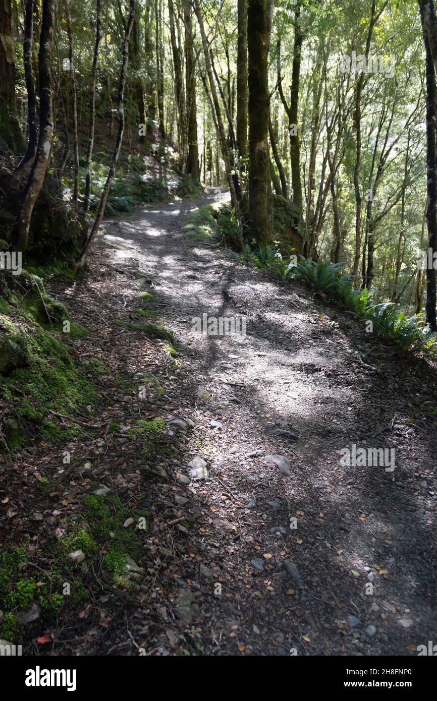 Old Ghost Road Cycle Trail Lyell Buller South Island New Zealand