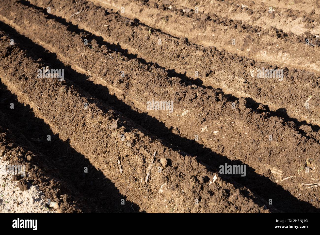 Stirring The Soil Hi Res Stock Photography And Images Alamy