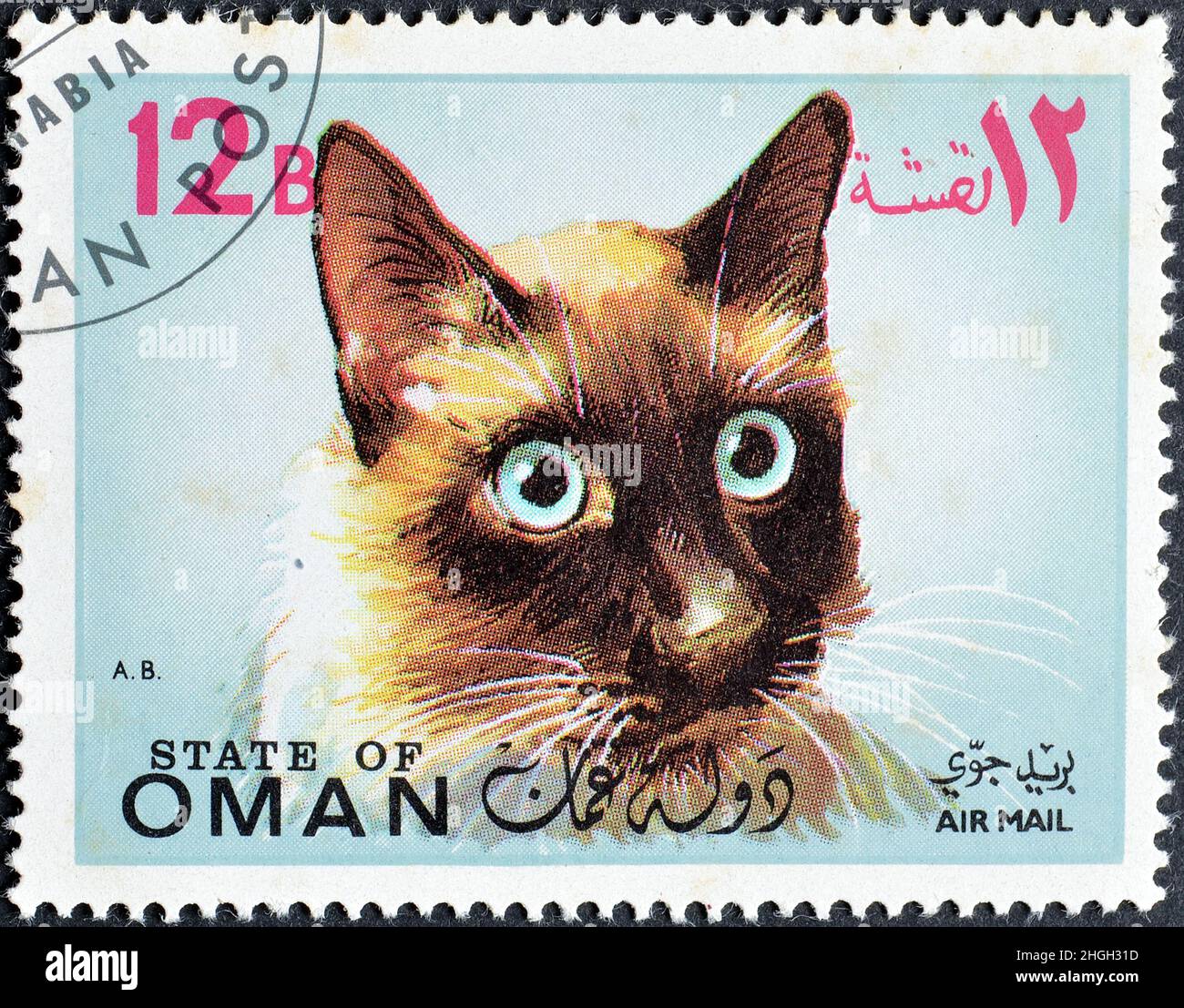 Cancelled Postage Stamp Printed By State Of Oman That Shows Cat Circa