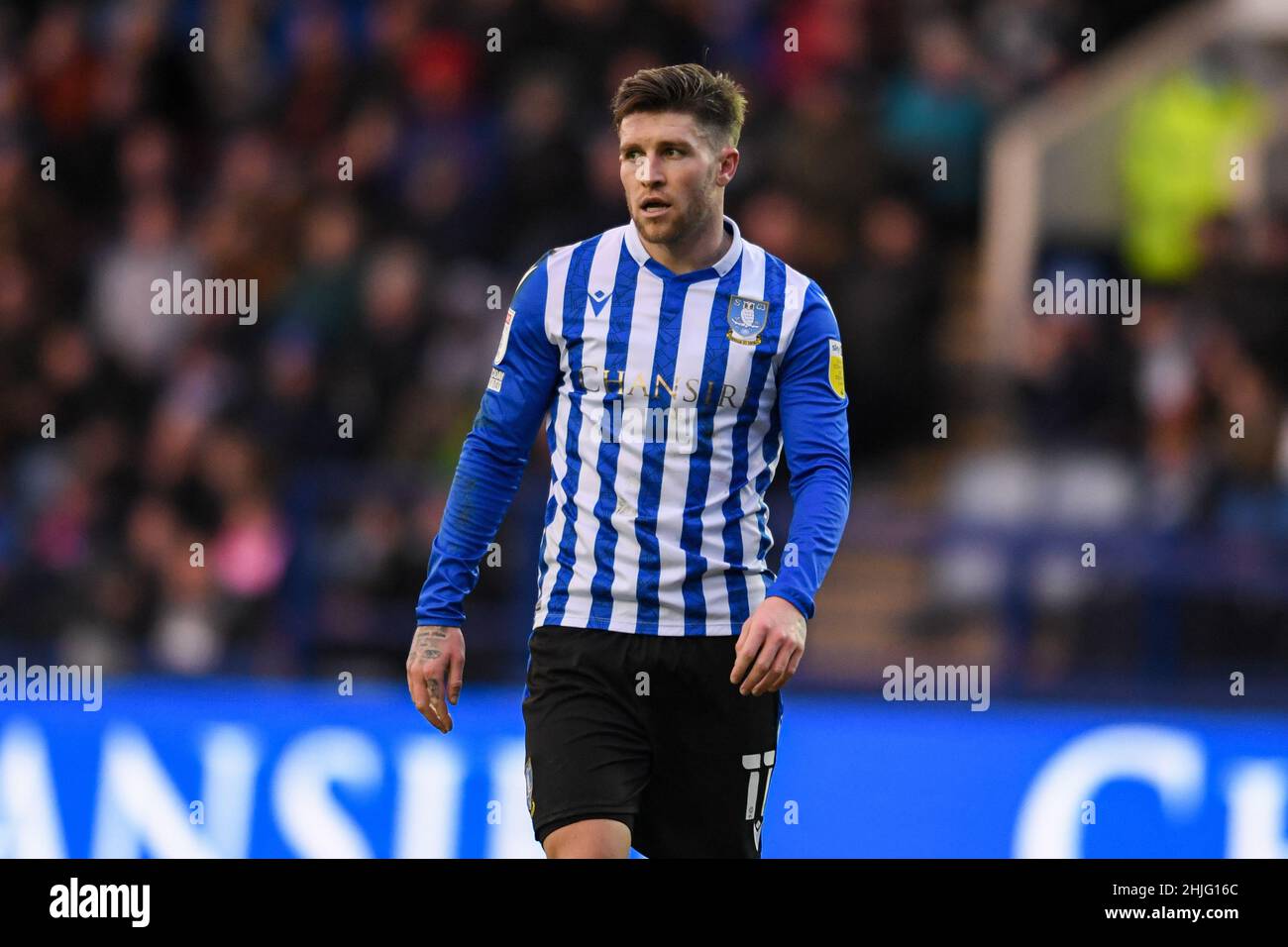 Josh Windass Of Sheffield Wednesday In Action During The Game Stock