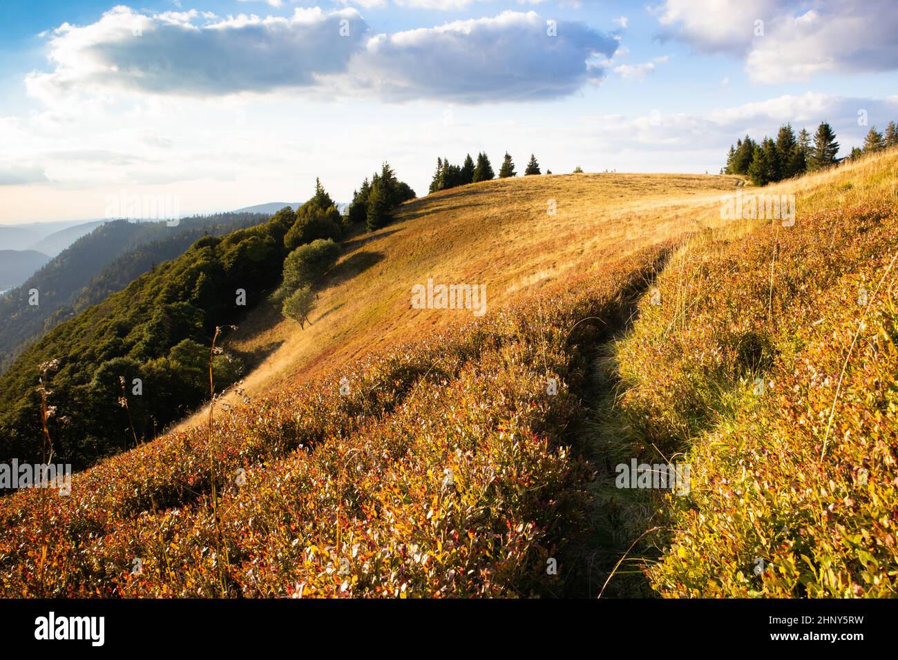 Mountain Landscape Of Xonrupt Longemer During Autumn Fall With Forest