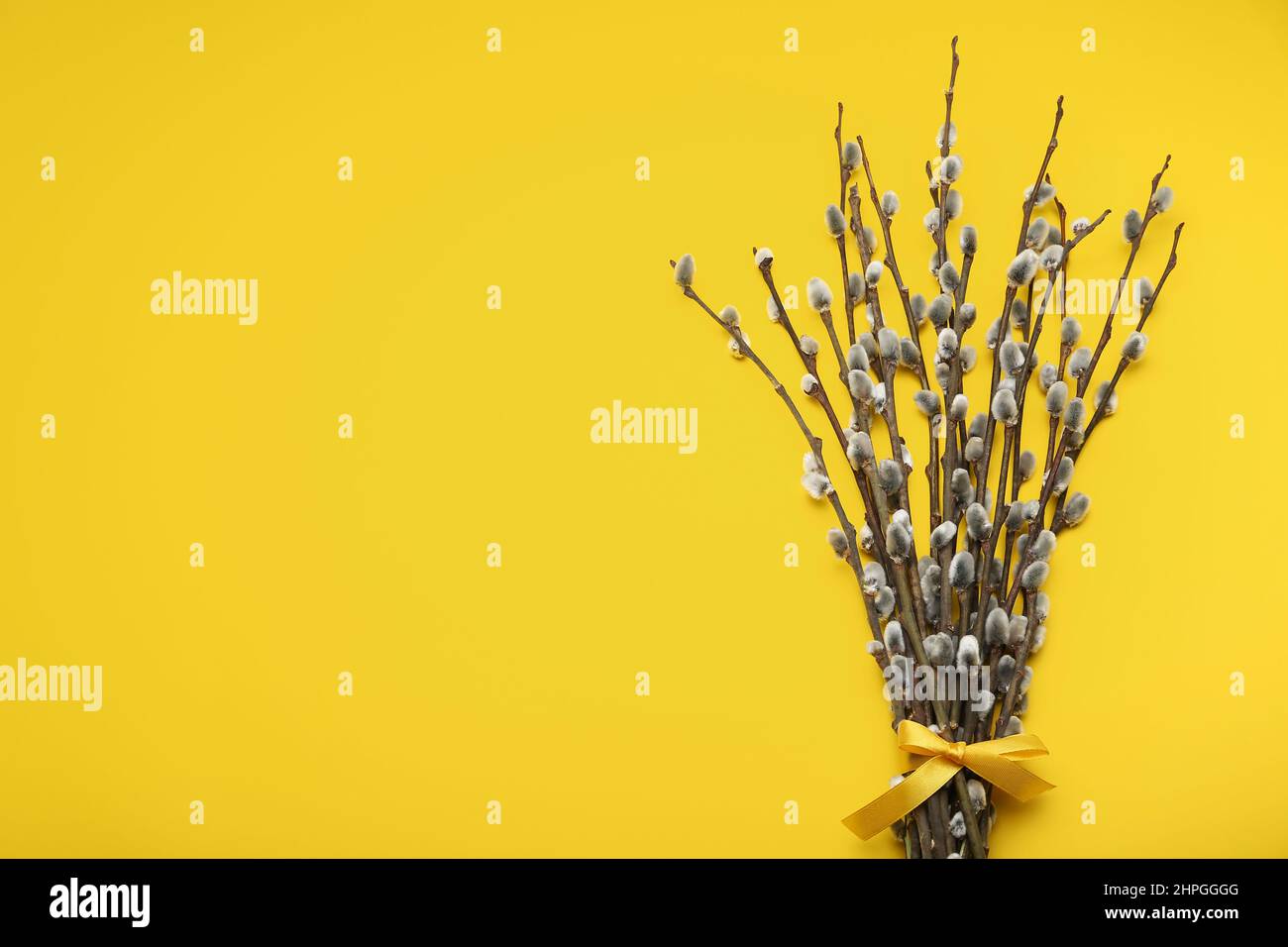 Bouquet Of Pussy Willow Branches On Yellow Background Stock Photo Alamy