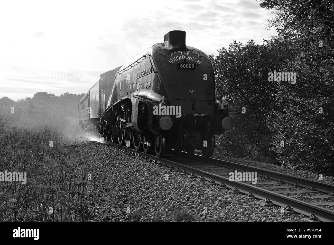 The Union Of South Africa Steam Train On The Bluebell Preserved