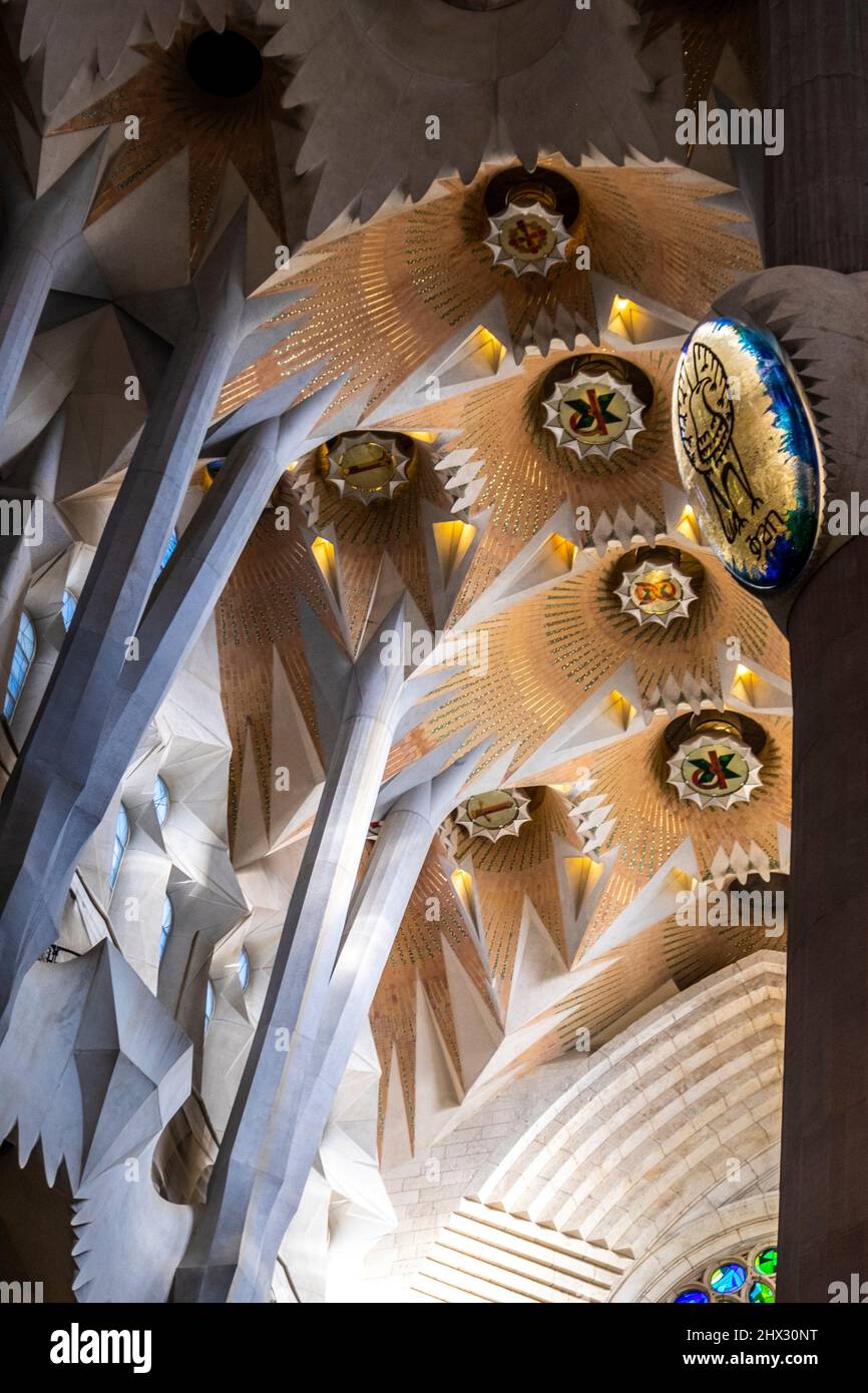 The Famous Ceiling Of The Sagrada Familia By Antoni Gaudi In Barcelona