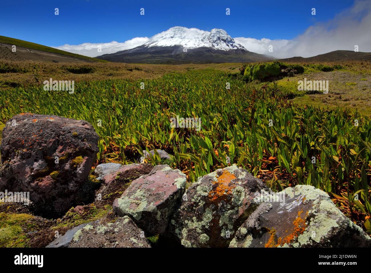 Antisana Volcano In Ecuador South America Volcano With Ice And Snow