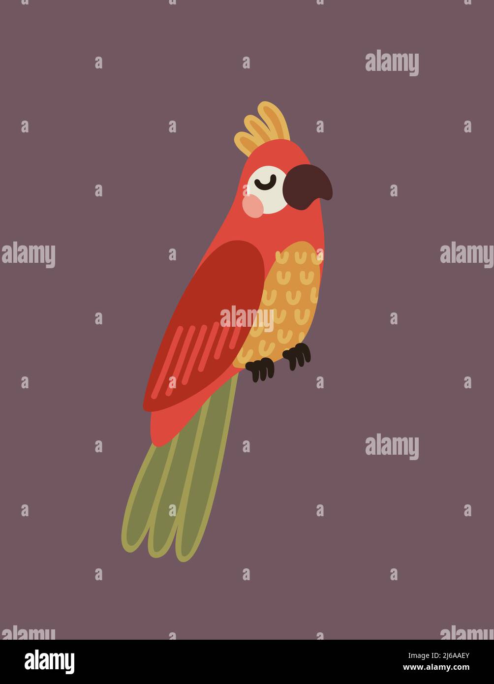 Yellow Parrot Stock Vector Images Alamy