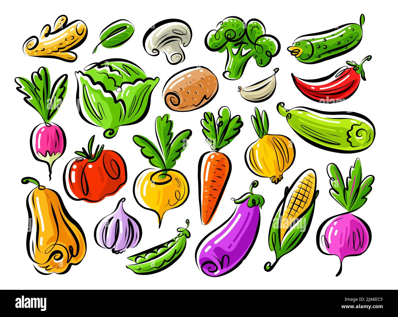 Vegetables Set Isolated On White Background Farm Organic Food Vector Illustration Stock Vector