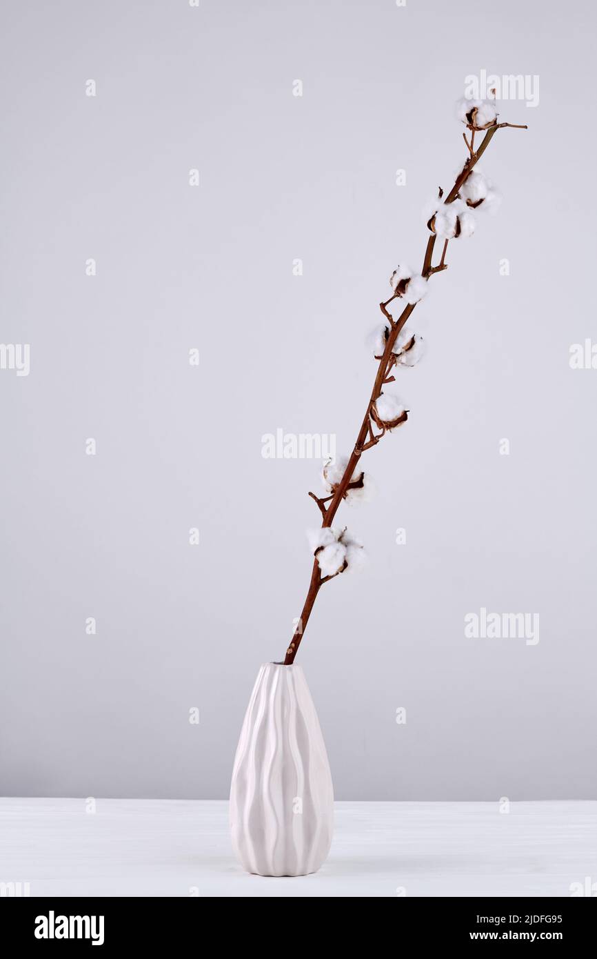 Vertical Shot Pussy Willow Twig In A White Vase Pussy Willow Branches