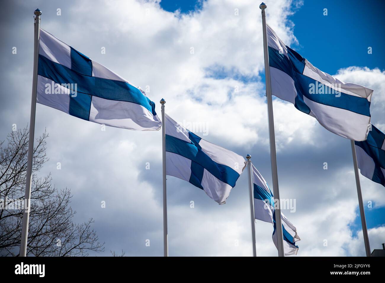 The Finnish Flags On The Flagpoles Waving In The Wind Under A Blue Sky