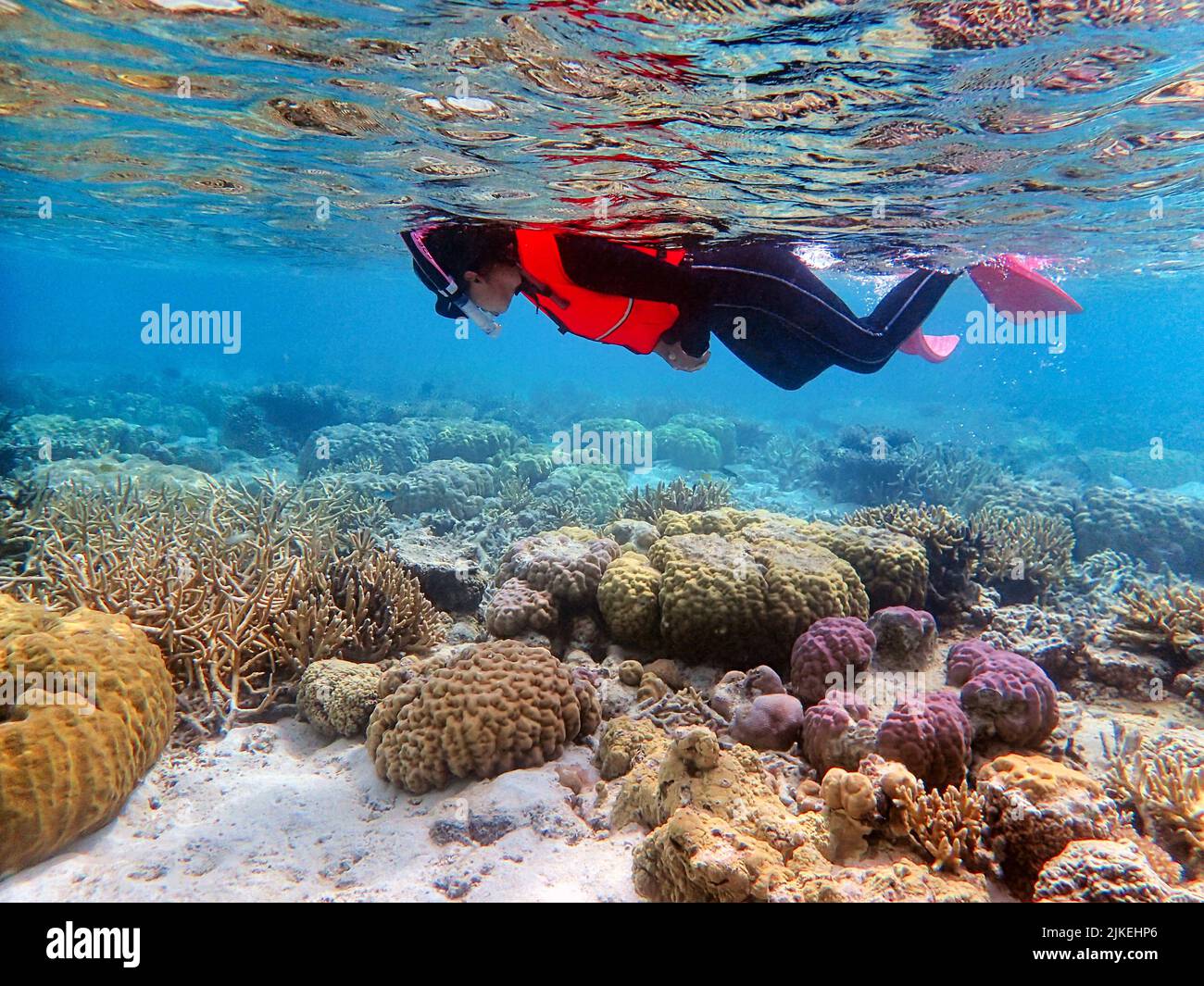 Indonesia Anambas Islands Women Snorkeling In Coral Reef Stock Photo