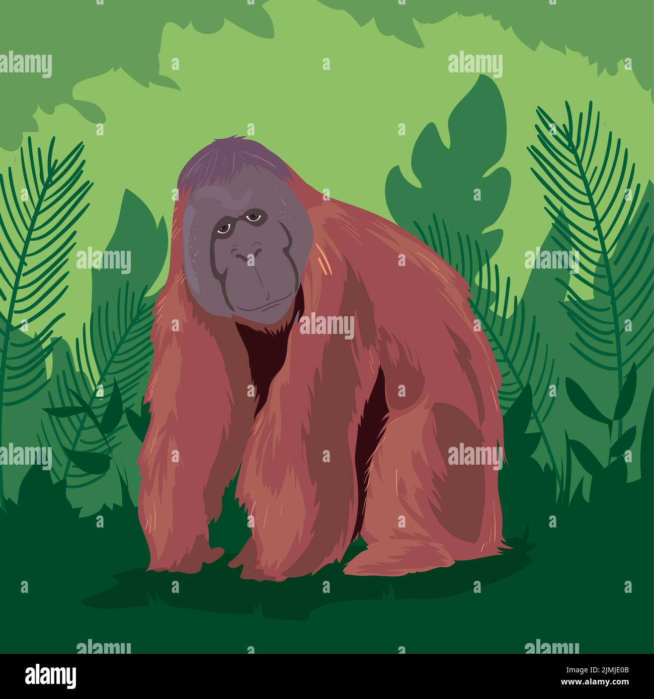 Colored Orangutan Poster Stock Vector Image Art Alamy