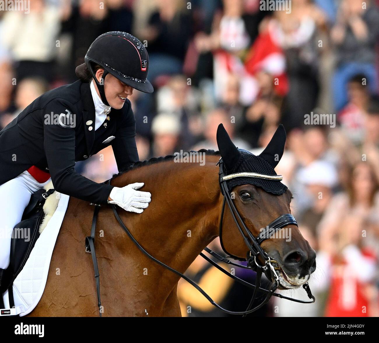 Herning Denmark Th Aug World Equestrian Games Cathrine