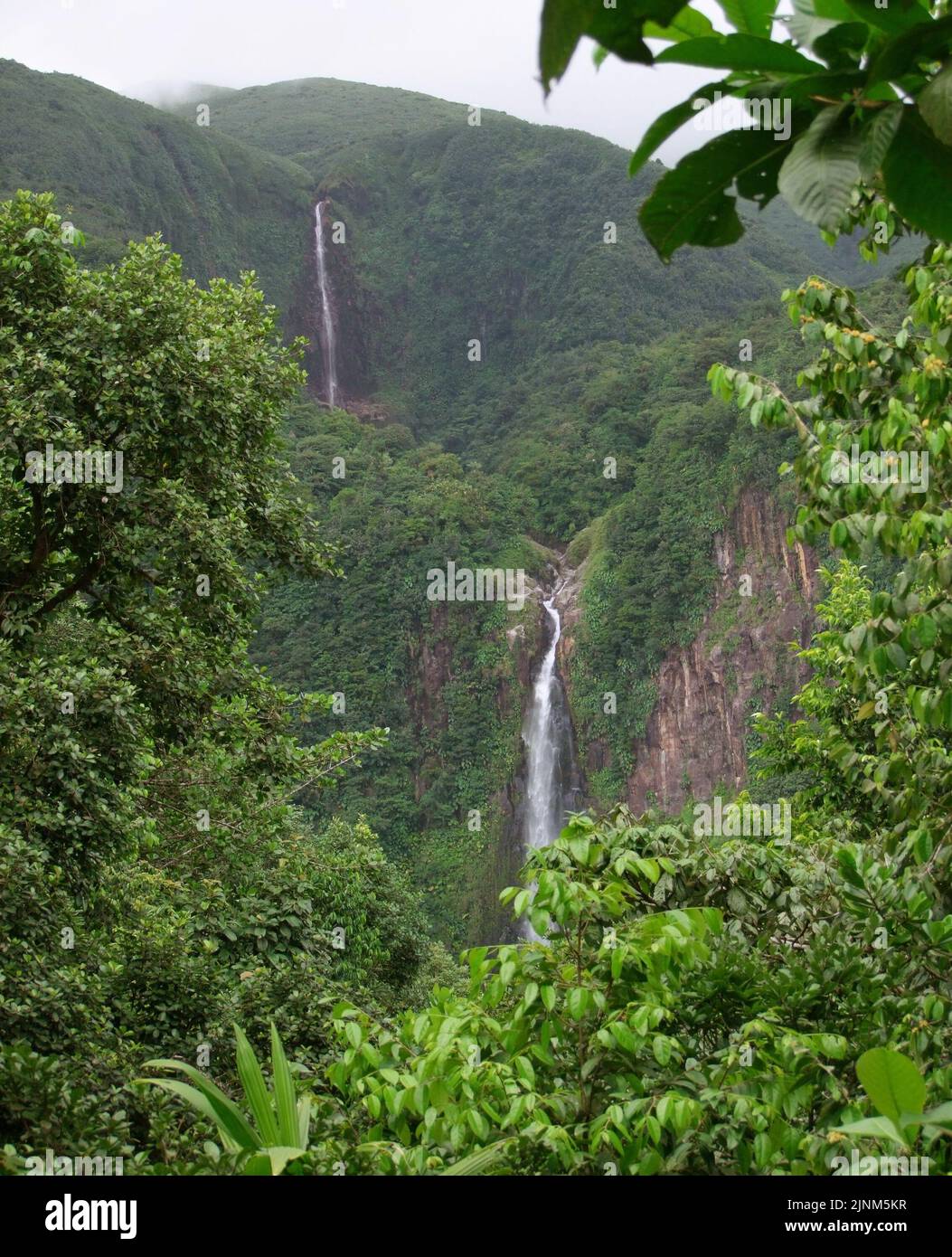 Waterfall Rainforest Guadeloupe Cascade Waterfalls Jungle