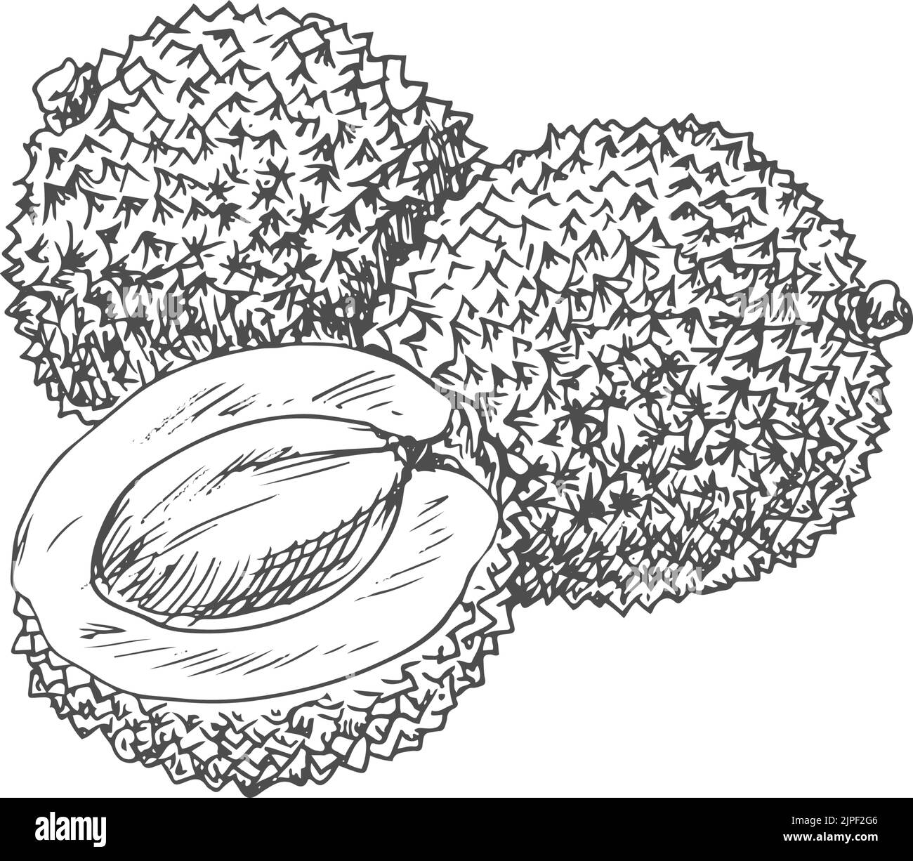 Lychee Tropical Fruit Black And White Stock Photos Images Alamy