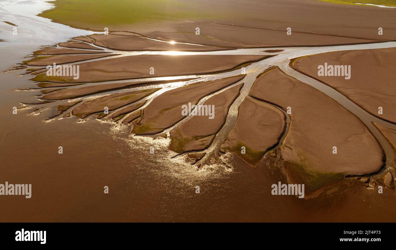 Nanchang China August An Aerial Photo Shows A Tree Shaped