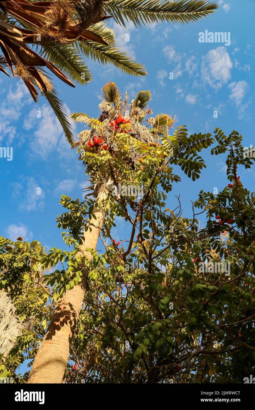 Huacachina An Oasis In The Middle Of The Peruvian Desert View Of