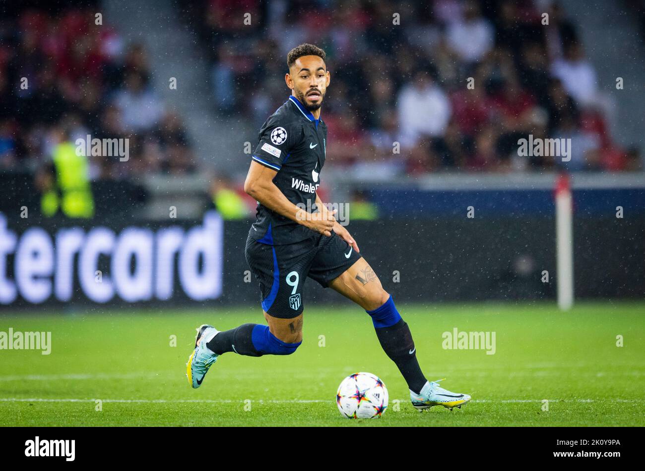 Matheus Cunha Bayer Hi Res Stock Photography And Images Alamy