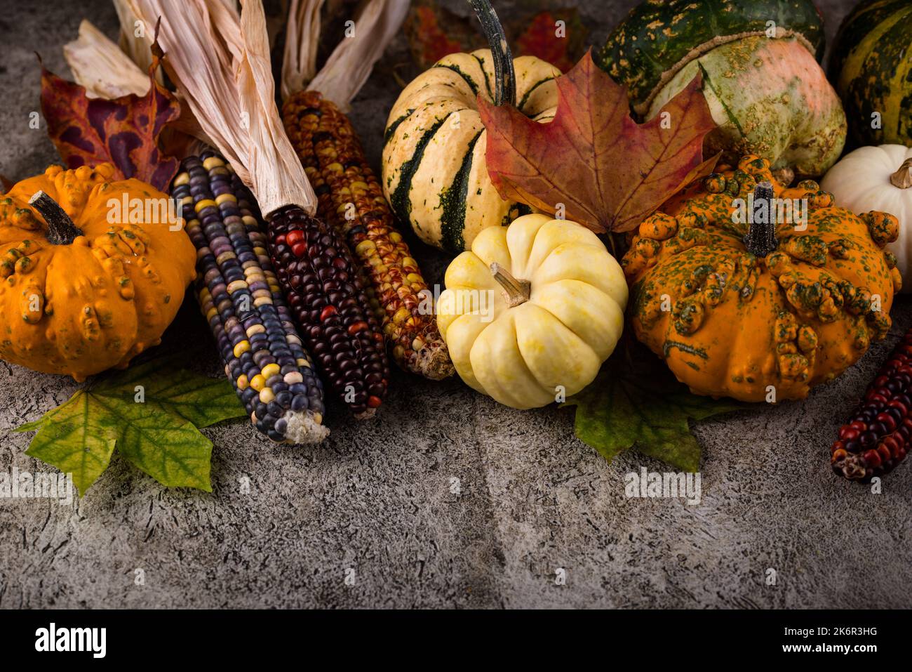 Autumn Still Life With Pumpkin Stock Photo Alamy