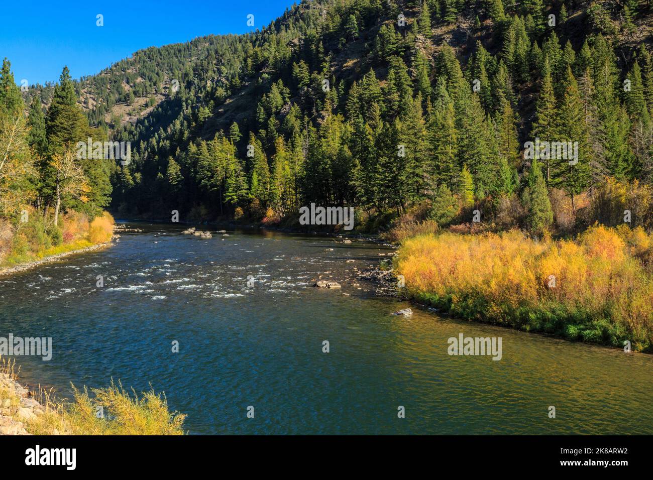 Fall Colors Along The Blackfoot River Near Bonner Montana Stock Photo