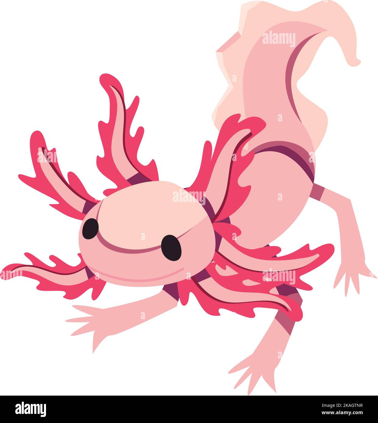 Flat Colored Axolotl Stock Vector Image Art Alamy