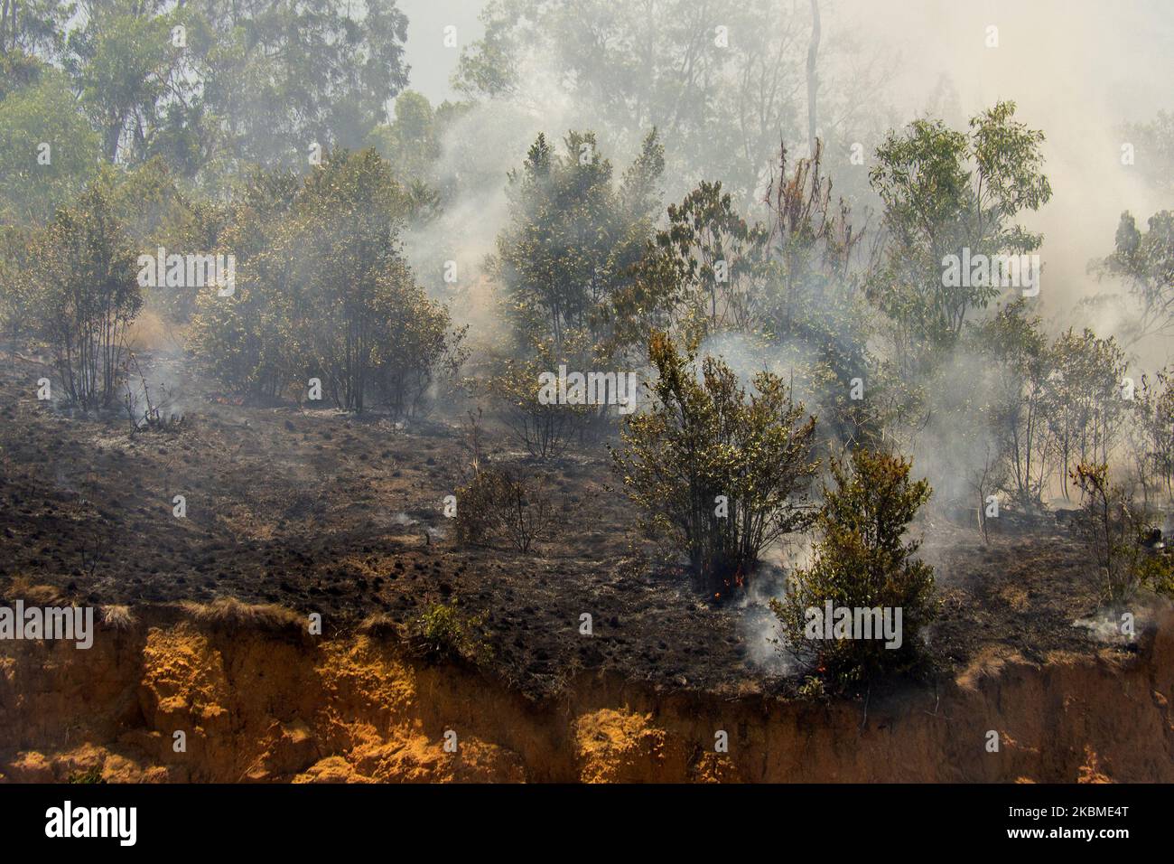 Teguh Prihatna Hi Res Stock Photography And Images Alamy