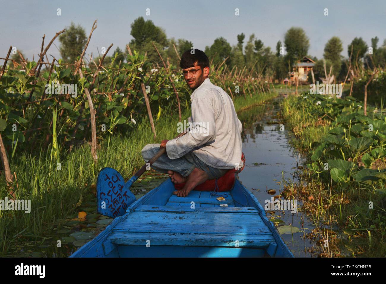 Kashmiri Boatmen Travels Along The Backwaters Of Dal Lake Through