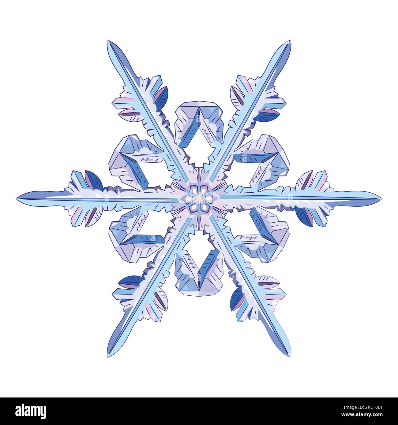 Natural Crystal Snowflake Stock Vector Image Art Alamy