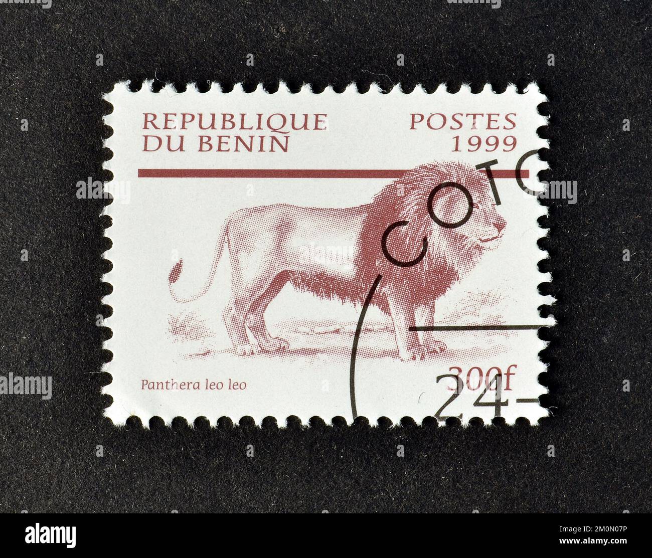 Cancelled Postage Stamp Printed By Benin That Shows Lion Panthera Leo