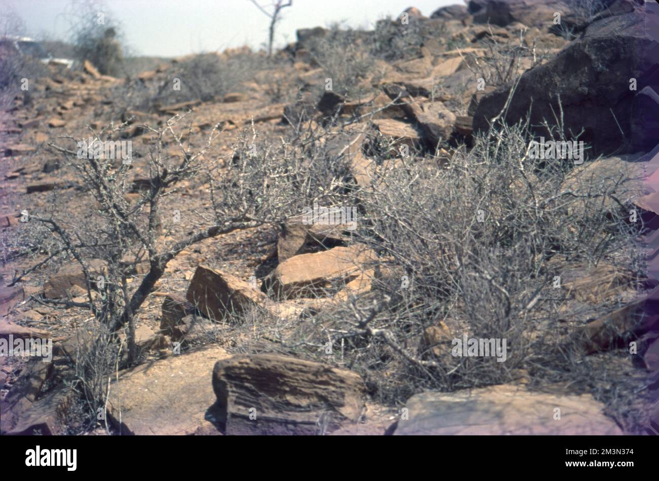 Erosion Is The Geological Process In Which Earthen Materials Are Worn