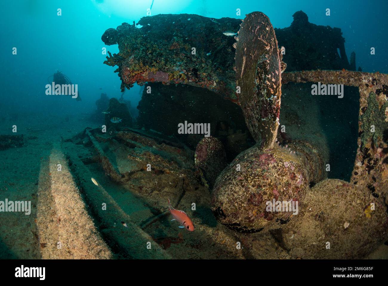 Underwater Scenery Off The Dutch Caribbean Island Of Sint Maarten Stock