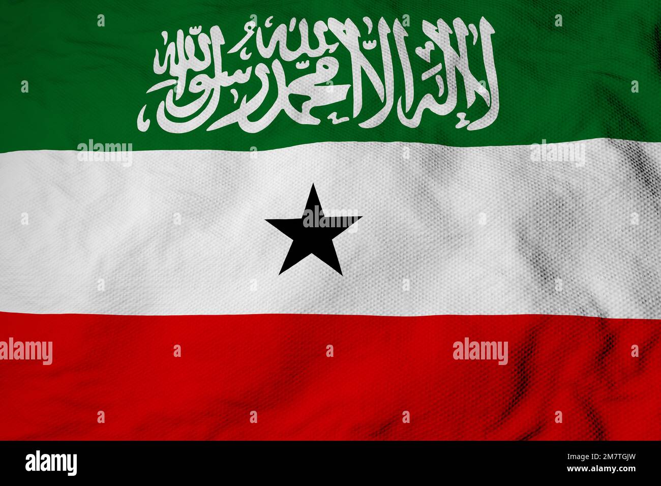 Full Frame Close Up On A Waving Flag Of Somaliland In 3D Rendering