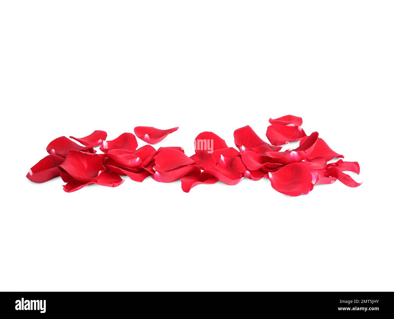 Fresh Red Rose Petals On White Background Stock Photo Alamy