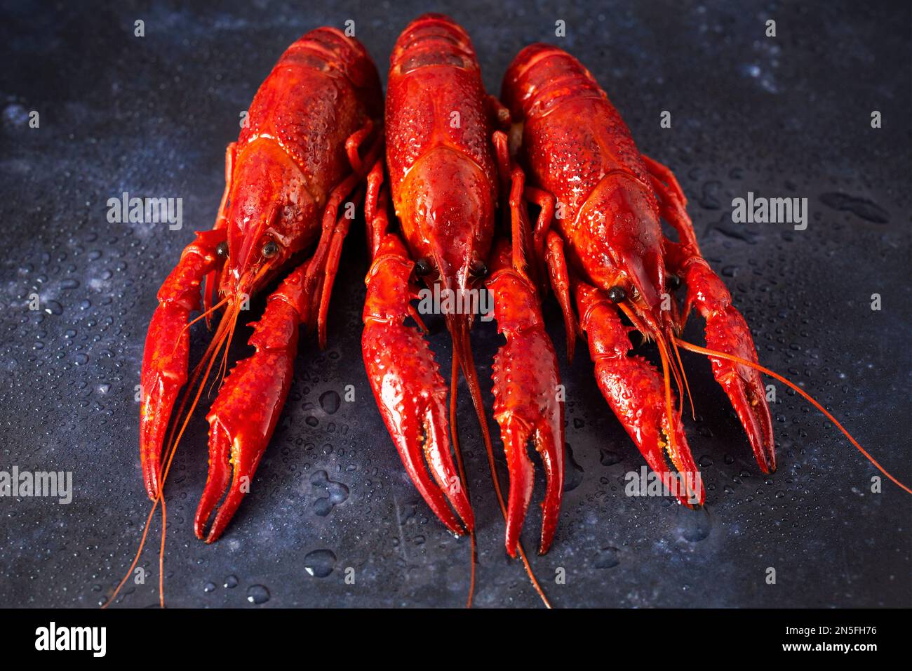 Crayfish Isolated Closeup Hi Res Stock Photography And Images Alamy